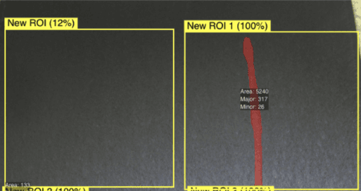 AI Detection Example 1