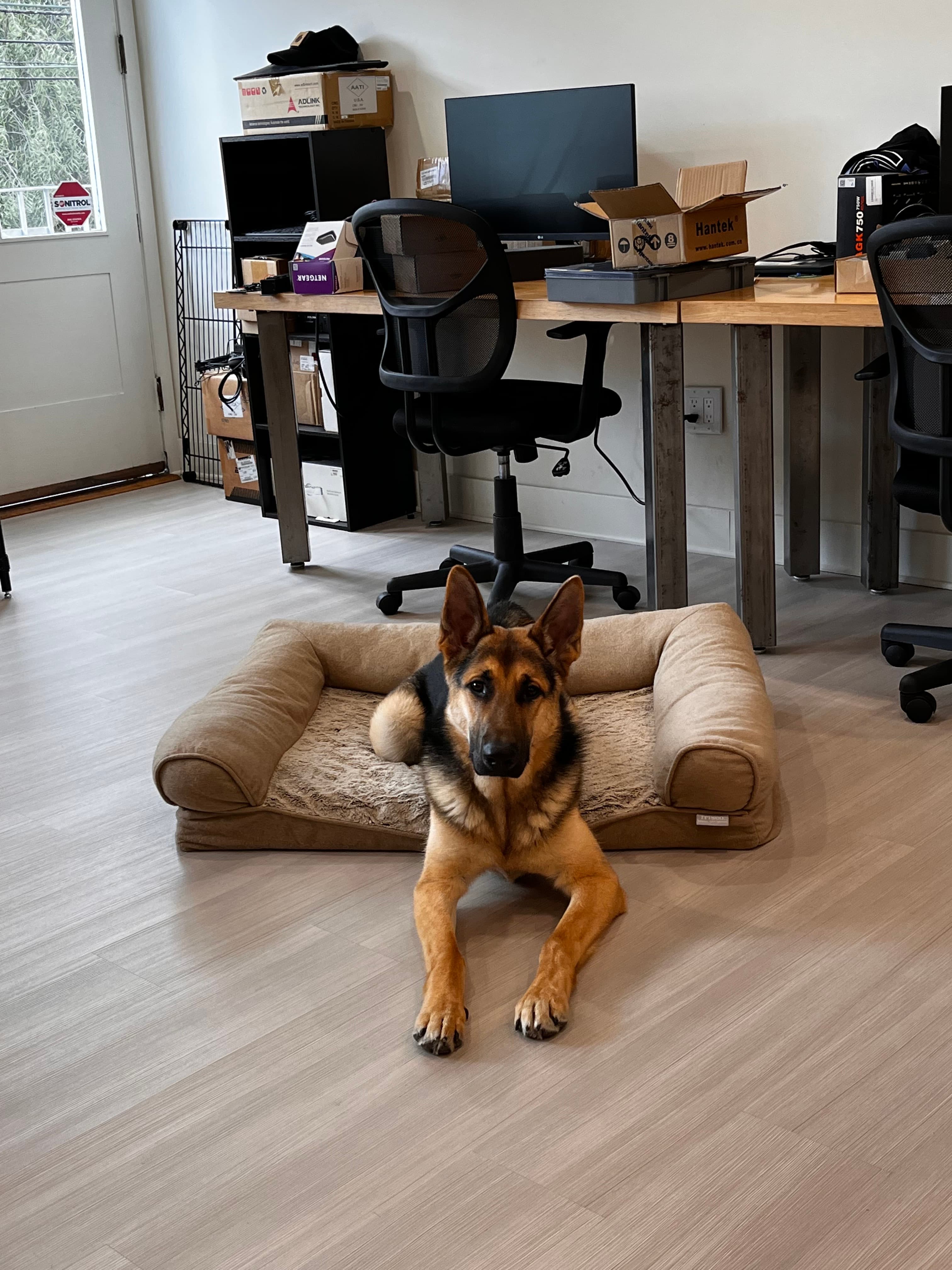 Overview team workspace