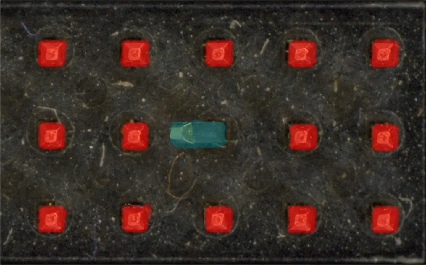 Connector contact field where every contact carries a segmentation mask and one displaced contact is masked in a separate colour