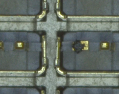 Close up of a fibre lying across a pin cell